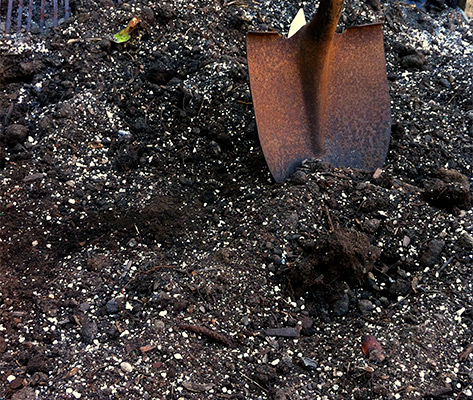 Compost: The Lifeblood of Your Central Coast Garden
