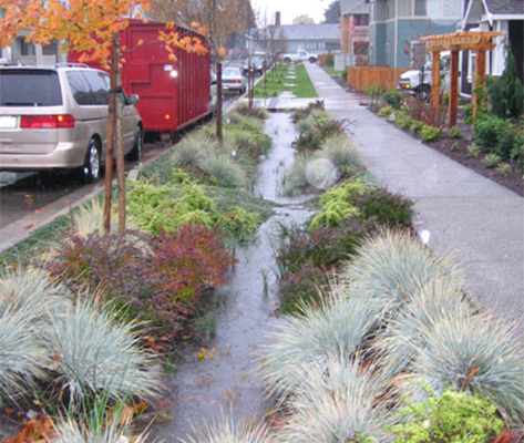 Barrel-Free Rainwater Harvesting in SLO County