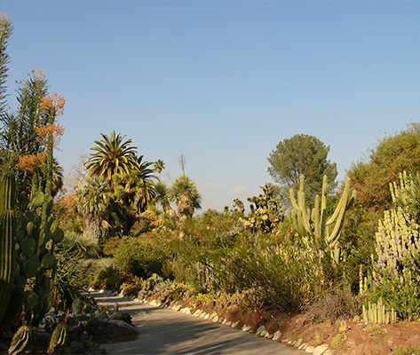 Fellow Plant Lover Jeff Krasner Will Be Missed