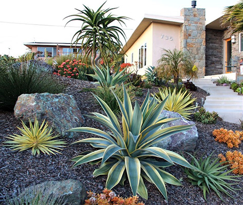 Morro Bay Marinos: The AAUW Garden Tour