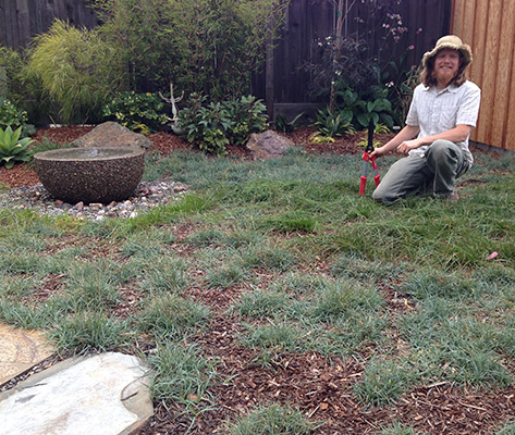 "Mowing" The Drought-Tolerant Lawn