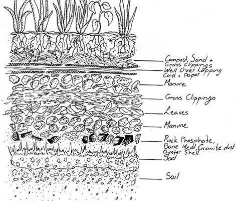 The Sheet-Mulching Legacy