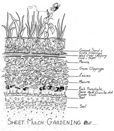 Gardens by Gabriel Sheet Mulching