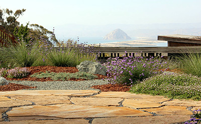 Flagstone Drought Tolerant Landscape Design