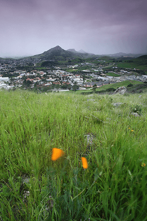 San Luis Obispo Rain