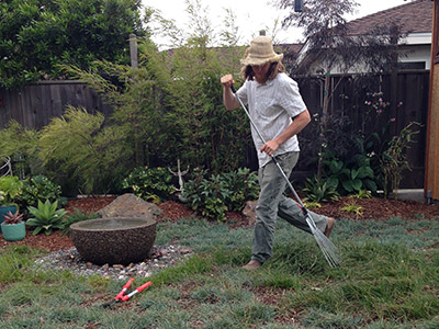 Carex Pruning