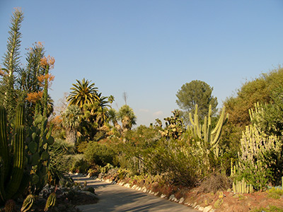 Gardens by Gabriel Huntington