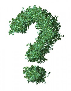 Green Question Mark