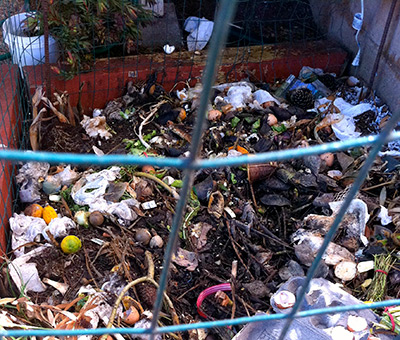 Our Compost Bin