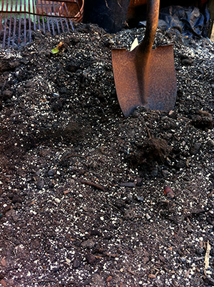 Our Compost Pile