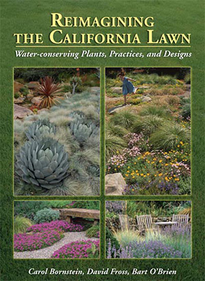 Reimagining the California Lawn