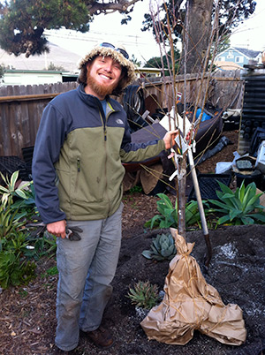 San Luis Obispo Garden Tree